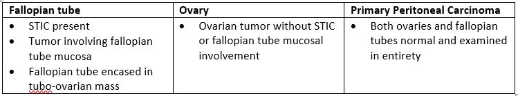 Ovary Epithelial Carcinoma